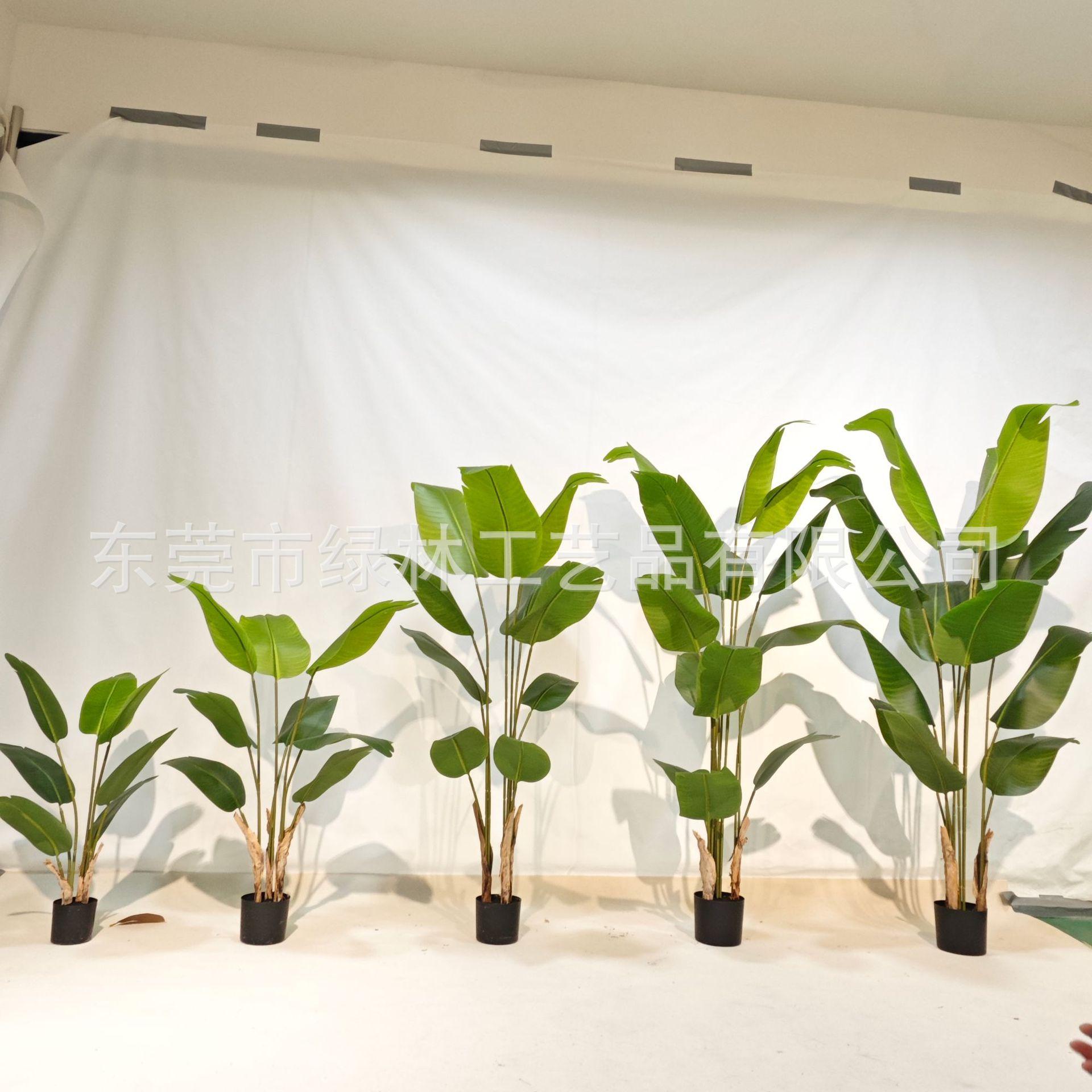 微信图片_20231104092101