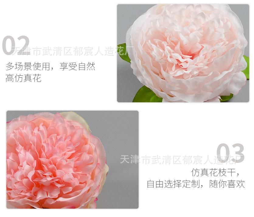 详情_09.jpg