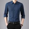 Camisa Blanca para Hombre para Primavera y Otoño, Ropa Formal de Negocios Profesional, Camisa Casual de Manga Larga Negra y Gris sin Planchar, Una Pieza Envío Directo