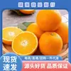 Hunan Mayang Açúcar de Pedra Laranja Fruta Fresca Laranja Frete Grátis Direto da Origem Laranja Açúcar de Pedra Dropshipping Laranja Açúcar de Pedra