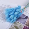 Coelho cauda grama buquê de flores secas flor material photo frame decoração diy material eterno flor rabo de cachorro grama atacado adereços de tiro