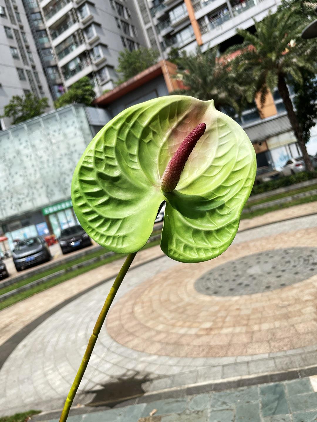 微信图片_20210730114550.jpg