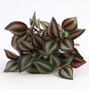 Flor Artificial flor artificial planta verde maceta decoración planta pared arreglo floral accesorios hojas 5 puntas encriptación hoja ceja colgante bambú ciruelo
