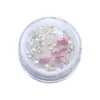 Xiaohongshu Decoração de Nail Art Borboleta com Gradiente de Cor Pacote Misto de Materiais para Unhas com Contas de Aço Pérola e Contas Sinfonia Borboleta