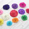 Flor de Hibisco Margarita Pequeña Doble Solapa Manzanilla Flor Seca Planta Estampada Espécimen Hecho a Mano Gotas Accesorios para el Cabello Colgante Pequeños Accesorios