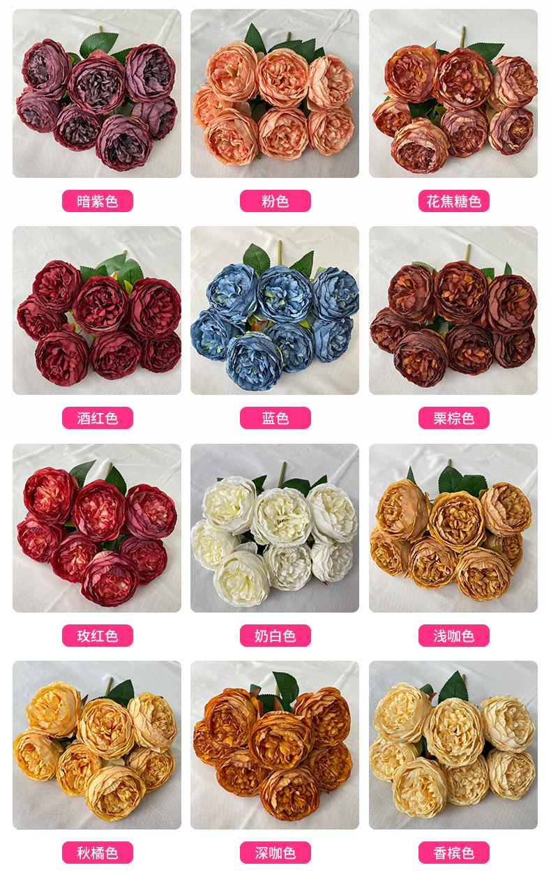 产品颜色 (1).jpg