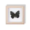 Especimen de Mariposa Real Pintura Decorativa Colgante Adorno de Insecto con Ojos Azules, Marco de Madera Maciza, Regalo para Mejor Amigo, Recuerdo Único