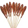 Brochetas pequeñas de mano de res, intestinos de pato y otros ingredientes a la parrilla y fritos, productos semiacabados para asado comercial, disponibles en paquetes al por mayor