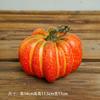 Decoración de Ventana de Exhibición de Paisaje Tema de Cosecha Maíz Caqui Calabaza Ajo Cadena Colgante Otoño Cosecha Jardín de Infancia Creación de Anillos