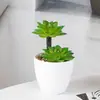 Plantas Verdes Simples Suculentas de Plástico em Vaso Ornamento para Sala de Estar Mesa de Jantar Flores Artificiais Decorações Ornamento Flores Biomórficas