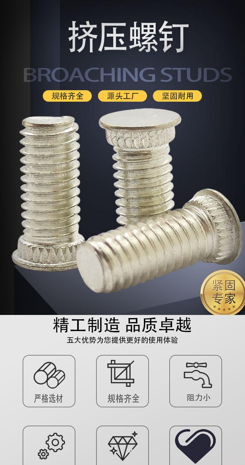 挤压螺钉_01.jpg