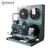 Compresor de Refrigeración Snow Eagle BF10G2-36.0 10 Refrigeración de Almacenamiento en Frío Equipo de Almacenamiento Refrigerado