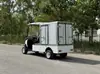 Carritos de Golf Eléctricos para Exportación, Vehículos Turísticos de 6 y 8 Plazas para Lugares Escénicos, Hoteles y Aeropuertos