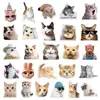 50 Adesivos Transparentes Fofos de Expressões de Gato, Capas de Celular, Malas, Copos de Água para Guitarra, Adesivos à Prova d'Água