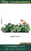Flores Artificiais Plantas Verdes Conjunto de Divisória Decorativa Flores de Plástico e Seda Decoração de Paisagismo Arranjo de Paisagem Exibição de Janela Interna