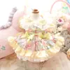 Ropa Nueva para Mascotas de Primavera y Verano Ropa para Perros Gato Corazón Conejo Tutú Falda Teddy Perro Pequeño Resistente Maiko