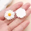 Set Mixto de 20 Divertidos Colgantes de Resina Blanca para Comida Simulación de Donut Fruta Corazón Accesorios para Joyería DIY