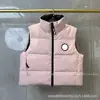 Comércio Exterior Transfronteiriço Grande Marca 2267 Colete Feminino Curto de Penas Gola Alta com Zíper Colete Espessado Quente Versátil Casual