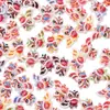 Estilo Ano Novo Estilo Chinês Cabeça de Leão Acessórios para Unhas Resina Peças Pequenas Brincos DIY Desenho Animado Festivo Decorações para Unhas