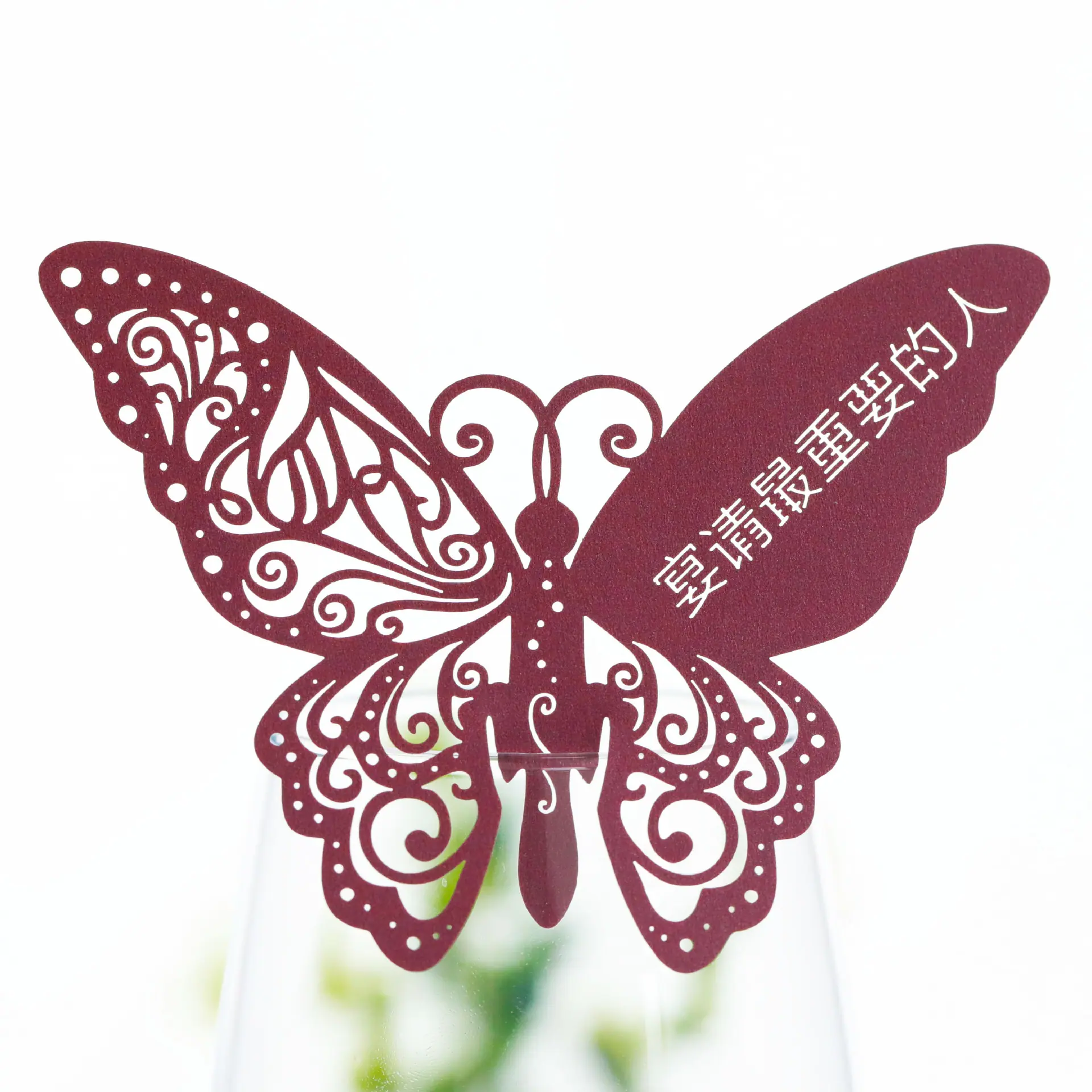 9R3A2891 珠光酒红
