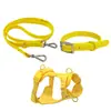Nuevo conjunto de 3 piezas de arnés de pecho para mascotas chaleco anti-rotura anti-desgarro perros grandes, medianos y pequeños correa para perro collar para perro