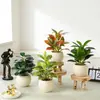 Planta Verde Artificial em Vaso para Escritório, Decorações de Mesa Interna para Sala de Estar de Alto Padrão, Plantas e Flores Artificiais, Adereços para Fotografia