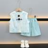 Traje de Verano sin Mangas de Secado Rápido para Niños 2025 Nuevo Uniforme de Baloncesto Deportivo de Malla para Niños Guapo Set de Dos Piezas de Chaleco