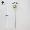 Venda Direta da Fábrica Flores Artificiais Lírio Clívia Galhos Decoração Adereços para Fotografia de Casamento Acessórios para Casa Design de Exibição