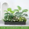 [Serie Y80] Decoración de Partición de Planta Verde Simulada Macetero Maceta Valla Paisajística de Plástico Biónico Diseño