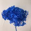 Flor Individual Hortensia Anna Souvenir Hortensia Flor Seca Hortensia Eterna Decoración para el Hogar Arreglo Floral Multicolor Venta al por Mayor