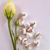 Calcomanía de Corazón de Melocotón Cuentas de Cerámica con Perlas Cuentas de Cerámica Estilo Chino Accesorios Hechos a Mano para DIY Pulsera Accesorios para Collar Material