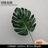 Decoración de Flores Artificiales Verdes Material de Flores de Hoja de Manzana Flor Exterior Planta Verde Hermoso Arreglo Chen Simulación de Hoja de Tortuga Arte Floral para Boda