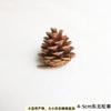 Atacado pinha flor seca decoração de Natal feito à mão DIY saco de material adereços de fotografia acessórios pinha de Natal natural