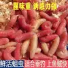 Gusano Rojo Insecto Vivo Larva de Mosca Cebo para Peces Carnada Viva Gusano de Carne Carpa Roja Peces de Arroyo Cebo Gusano Rojo Diente Gusano Blanco