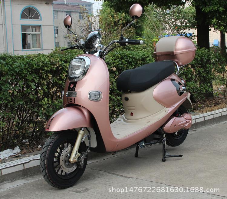 金龟王A款-奈米棕前侧视750