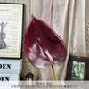 Lótus Artificial de Guanyin, Arranjo de Flores Antúrio Vermelho de Alta Qualidade, Flor Decorativa, Flor de Acessório de Mão, Adereço para Fotografia