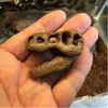 Acuario Tanque de Peces Adornos Hierba Acuática Paisaje Dinosaurio Cocodrilo Oveja Calavera de Resina Caballo Vaca Animal Habitación de Mascotas Calavera