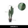 Planta Verde de Cactus Simulada en Maceta Planta Suculenta Tropical Combinación de Paisaje de Cactus Ventana de B&B Café