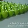 Decoración de ventana de manzana verde de espuma de simulación directa de fábrica, accesorios para fotografía, 35 Manzanas Verdes en stock, venta al por mayor