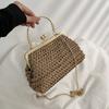 Saco Tecido Bolsa Feminina 2023 Primavera Novo Estilo Bolsa de Ombro Feminino Clip-in Corrente Bolsa de Palha Moda Internet Celebridade Crossbody Bag