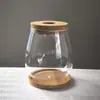 Florero de Vidrio Transparente Hidropónico Contenedor para Plantas Verdes Oficina Arreglo Floral Decoración de Escritorio Manualidades Suministro Transfronterizo