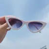 Gafas de Sol Triangulares Ojo de Gato Retro Color de Moda 2024 Celebridad de Internet Sombrilla Personalizada Europea y Americana Gafas de Sol para Mujer