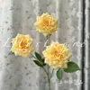 Arreglo de Escena con Flores Artificiales Flores de Rosa Venta al por mayor Transfronteriza 3 Cabezas Elegante Reina Flores Falsas Decoración Paisajismo Flores de Boda