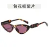 Nuevas Gafas de Sol de Personalidad con Montura Cat-Eye para Mujer, Tendencia Ins, Estilo Callejero Genial, Gafas de Moda, Retro, Sensación de Alta Gama, Gafas de Celebridad de Internet
