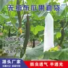 Bolsas de Frutas No Tejidas, Bolsas para Uvas a Prueba de Pájaros, Insectos e Impermeables, Bolsas Especiales para Frutas con Alambre de Amarre, Bolsas para Viveros en Stock