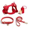 Widone Conjunto de Coleira e Guia para Cachorro Coleira para Cachorro Arnês para Animal de Estimação Arnês para Cachorro Estilo Colete Corda de Tração Guia para Cachorro