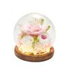 Bola de Flores Preservadas Tampa de Vidro Amazon Flor de Rosa Finalizada Dia dos Namorados Aniversário Presente Caixa de Presente com Flores Preservadas