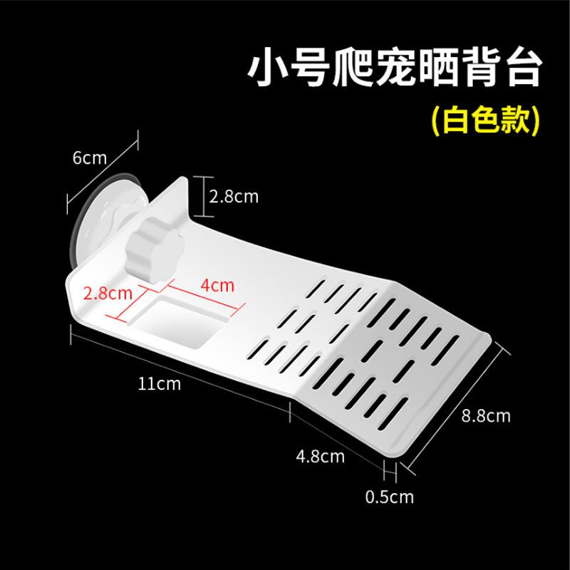 小白.jpg