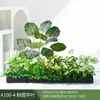 Paisagismo com Plantas Verdes Simulação Floreira Divisória de Piso Arte Floral de Chão Paisagem de Plantas Combinação de Floreira Flor Artificial em Vaso Bonsai Decoração