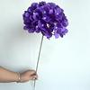 Guía de camino para el techo del salón ceremonial de bodas con hortensias de 72 piezas, arte floral, decoración suave, decoración en stock Hortensias